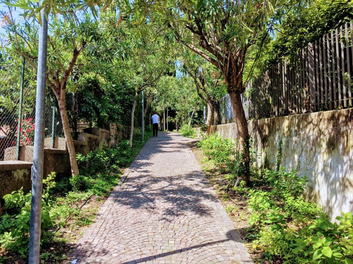 La Briciola Appartement Sirmione Buitenkant foto